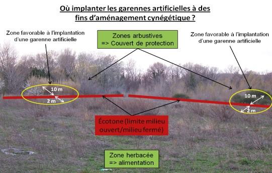 aménagement lapin implantation garenne