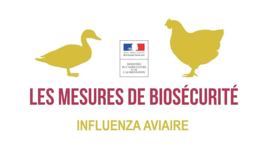 Un foyer de grippe aviaire détecté dans un élevage de faisans et de perdrix dans le Pas-de-Calais