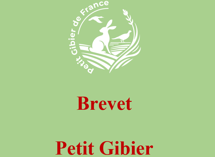 Brevet petit gibier