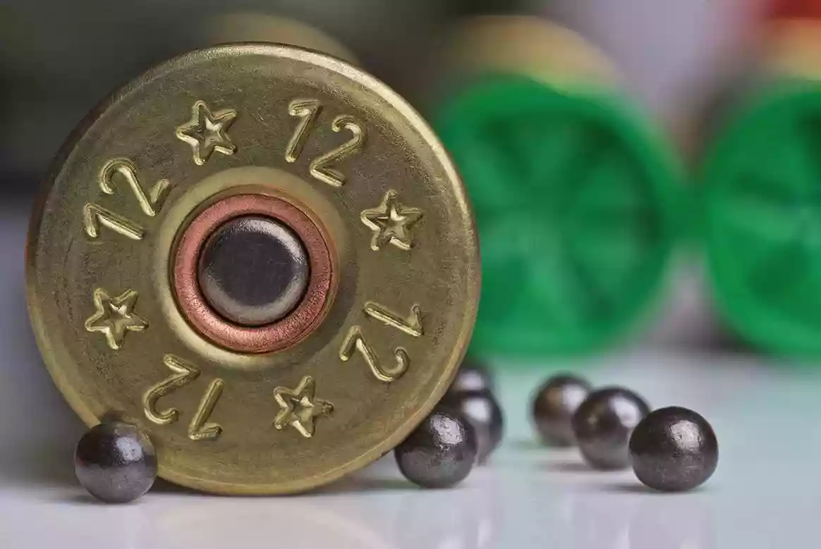 plomb-cartouche-chasse-compressed